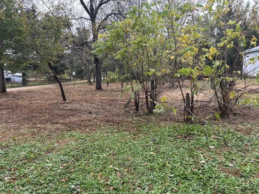 TBD 266th St & 539th Ave, Lansing, MN 55950 - Image #3