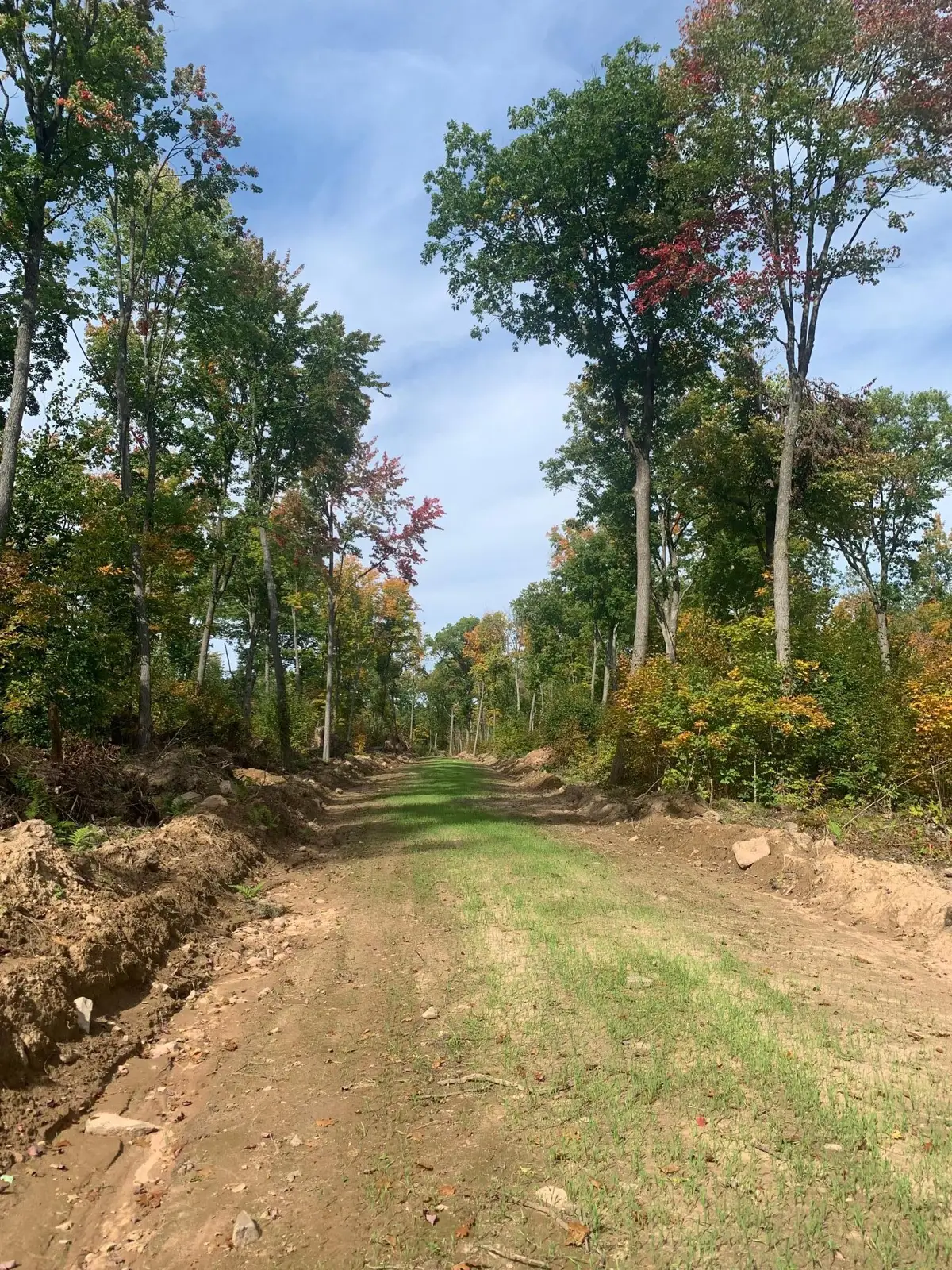 TBD County Road T 3, Dairyland, WI 54830 - Image #1