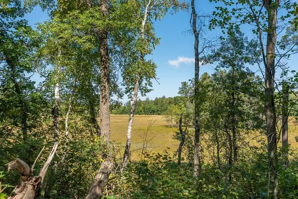Tract D TBD Little Pine Road, Sylvan Twp, MN 56401