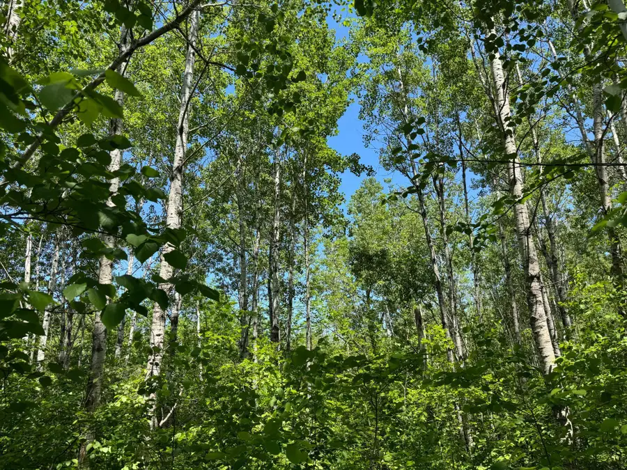 TBD Irondale Road, Superior, WI 54880 - Image #3