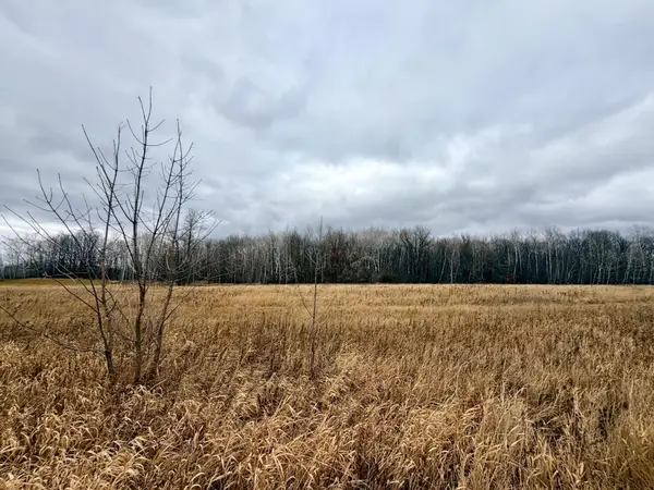 XX Pole Road, Grasston, MN 55030