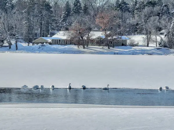 4 W Shore Road, North Oaks, MN 55127