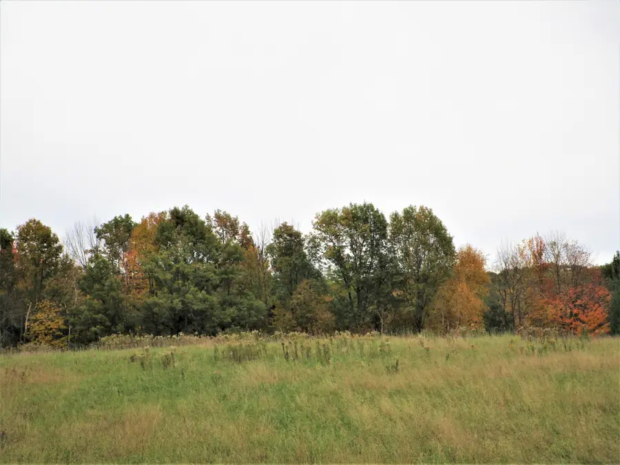 Parcel 4 90th Street, Frederic, WI 54837 - Image #2