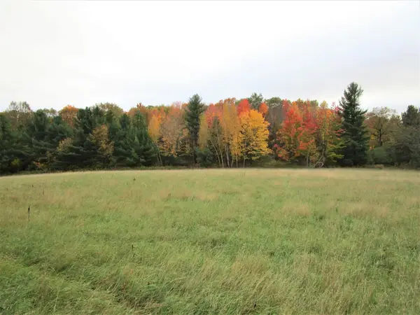 Parcel 5 340th Avenue, Frederic, WI 54837