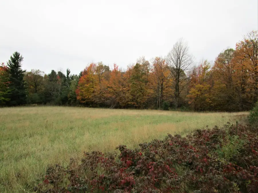 Parcel 5 340th Avenue, Frederic, WI 54837 - Image #3