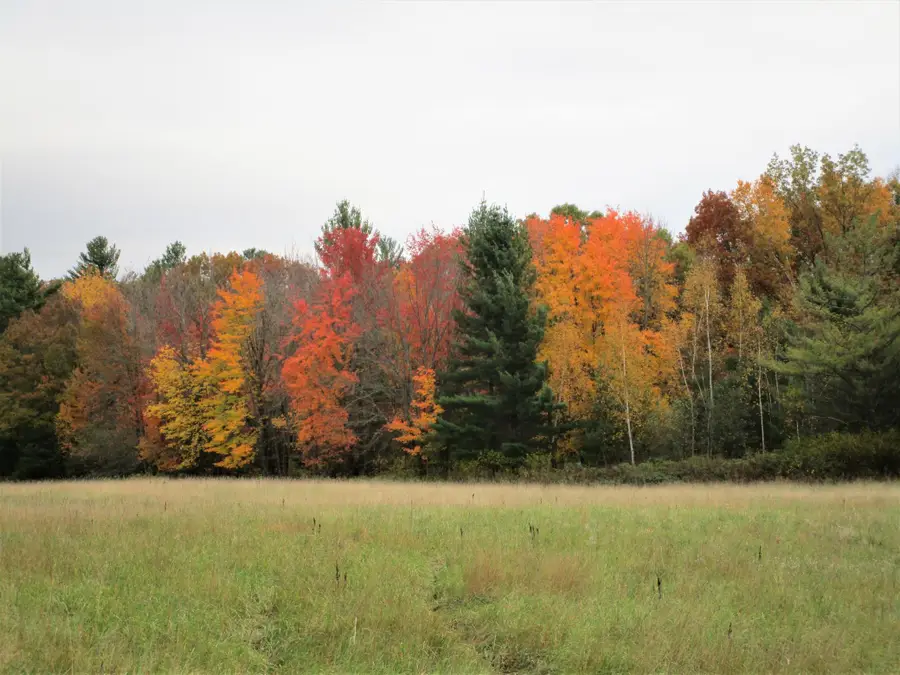 Parcel 6 340th Avenue, Frederic, WI 54837 - Image #2