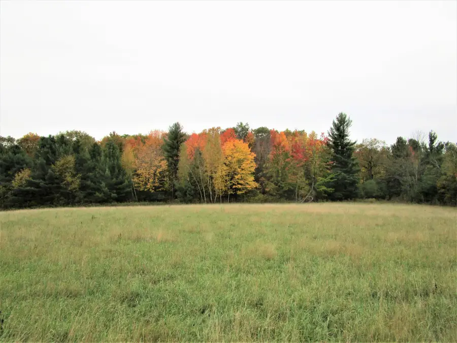 Parcel 6 340th Avenue, Frederic, WI 54837 - Image #3