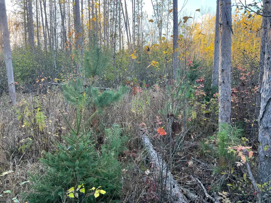 #3