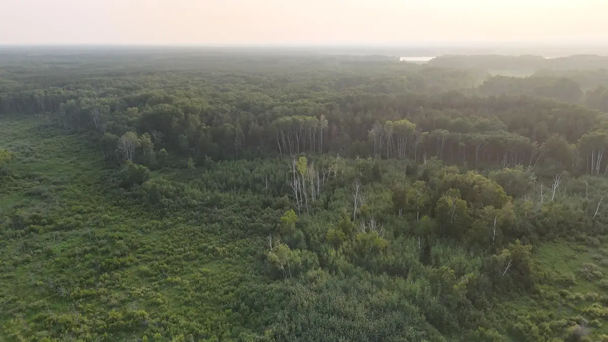 12031 State 64, Akeley, MN 56433 - #1