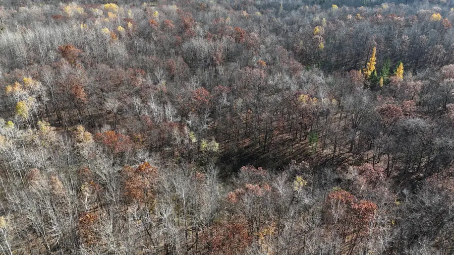 TBD Grace Lake Road, Sandstone, MN 55072 - Image #2