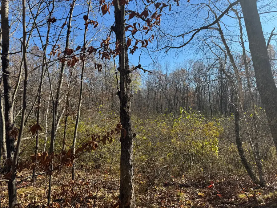 TBD Grace Lake Road, Sandstone, MN 55072 - Image #3