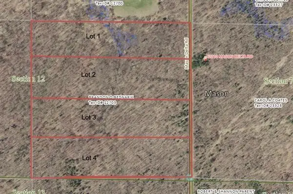 Lot 1 Mason Delta Rd, Delta, WI 54856