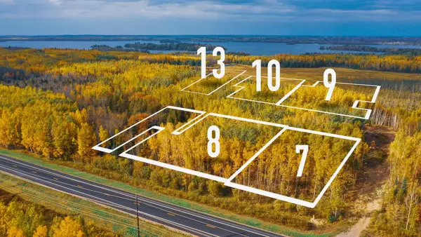 Parcel 8 TBD Hwy 115, Tower, MN 55790