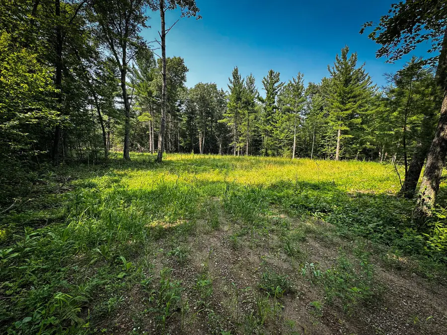 26987 Marias Way, Webster, WI 54893 - #3