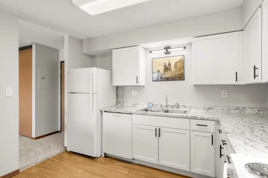 221 Grand Avenue W #316, South Saint Paul, MN 55075 - Image #3