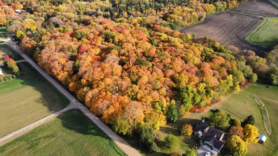 11275 66th Street, Waconia, MN 55387 - Image #2