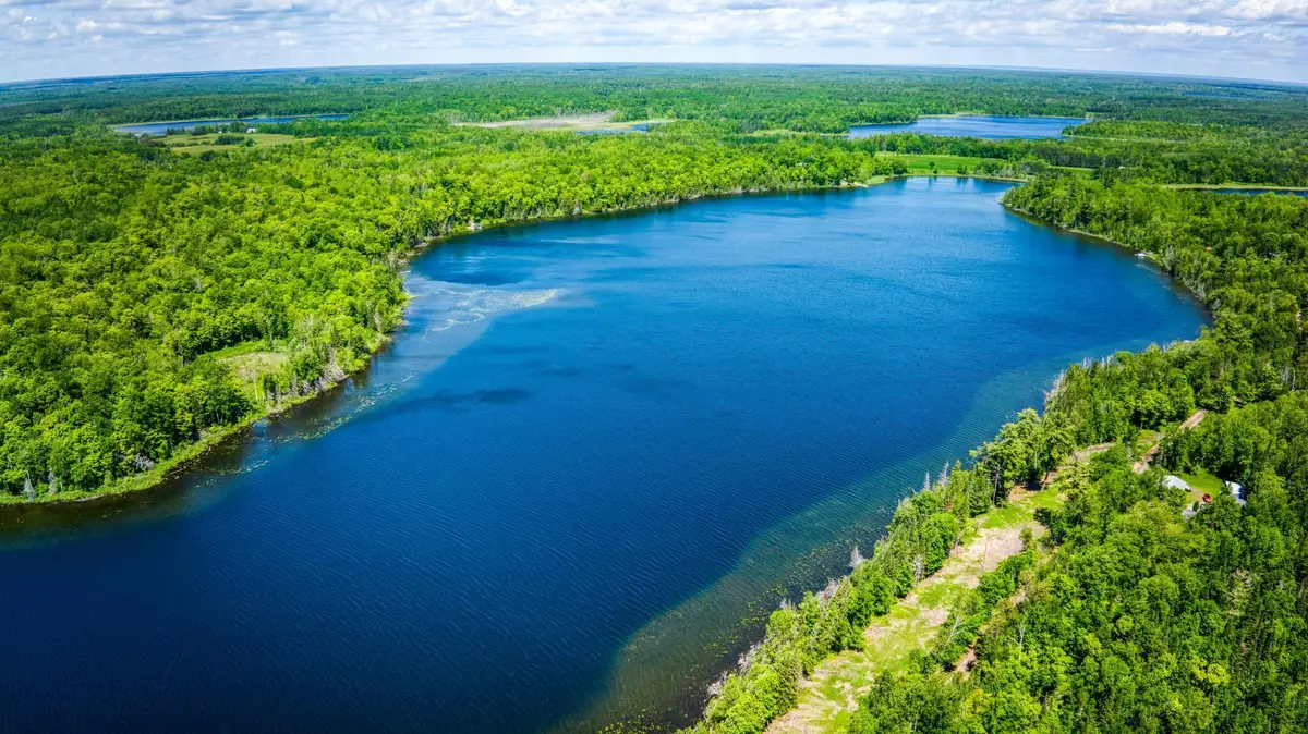 0000 Deervine Trail Ne, Tenstrike, MN 56683 - Image #1