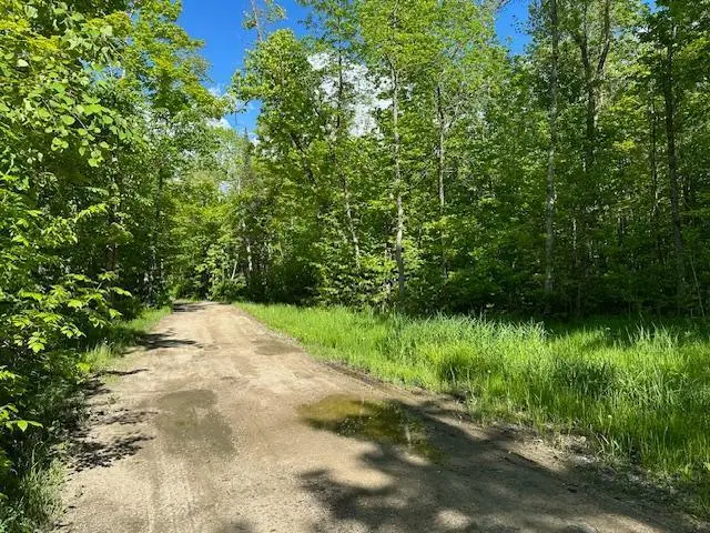 0000 Deervine Trail Ne, Tenstrike, MN 56683 - Image #3