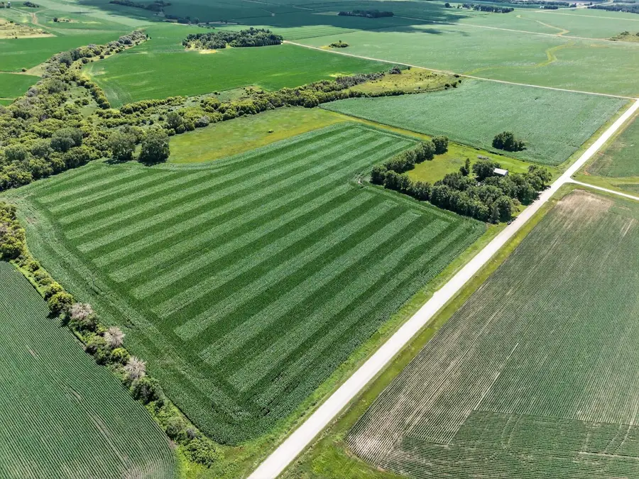 TBD 270th Avenue Sw, Hayfield, MN 55940 - Image #3