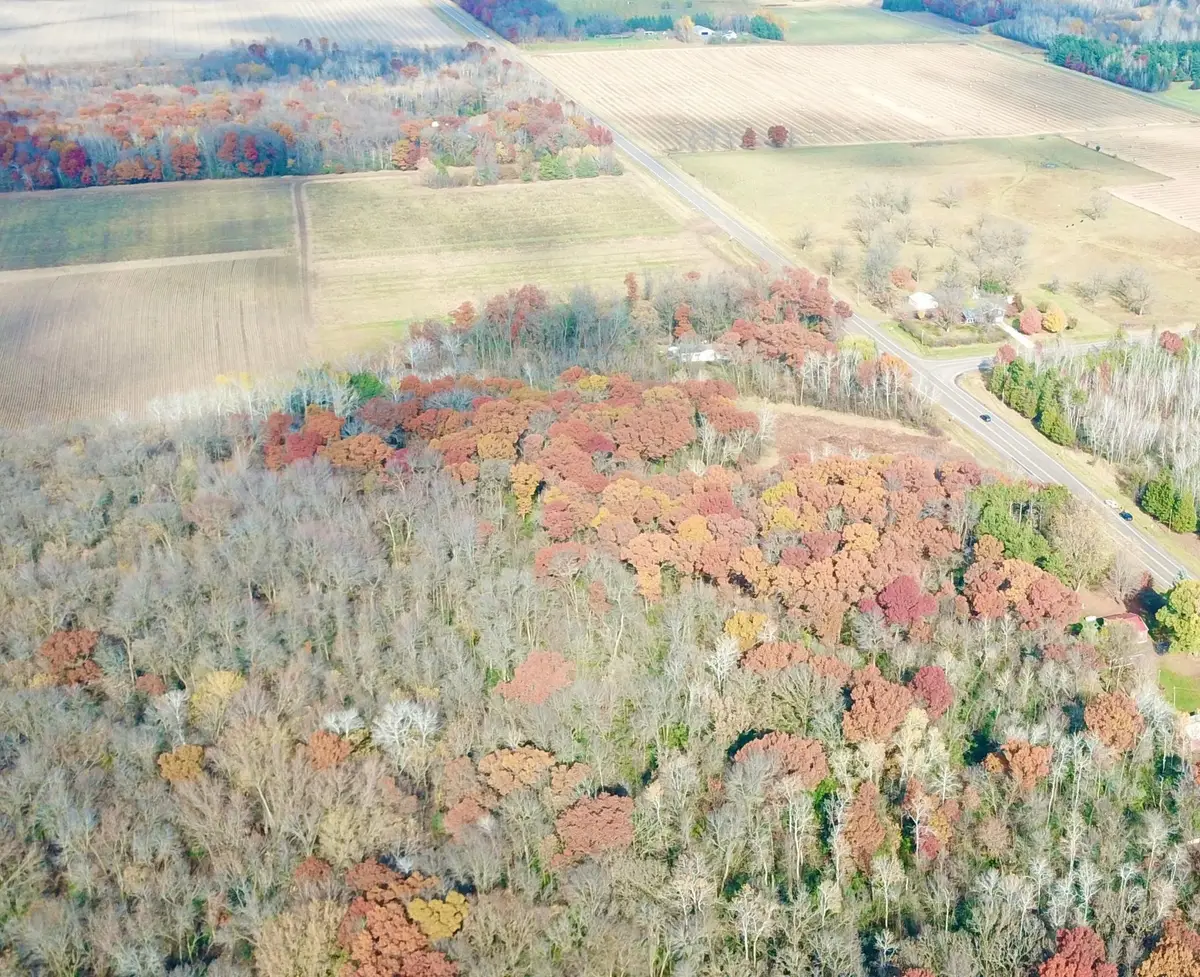 TBDx 165th Avenue Se, Santiago, MN 55319 - Image #1