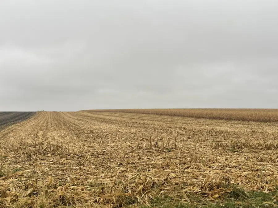 xxxx Xxxx, Tracy, MN 56175 - Image #3