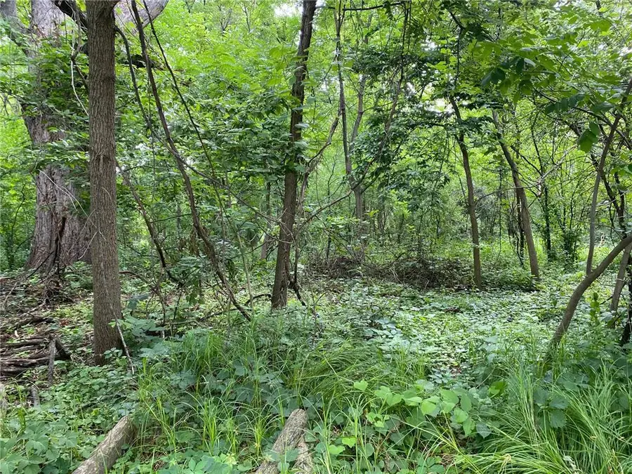 13XX 3rd Street, Saint Paul Park, MN 55071 - Image #2