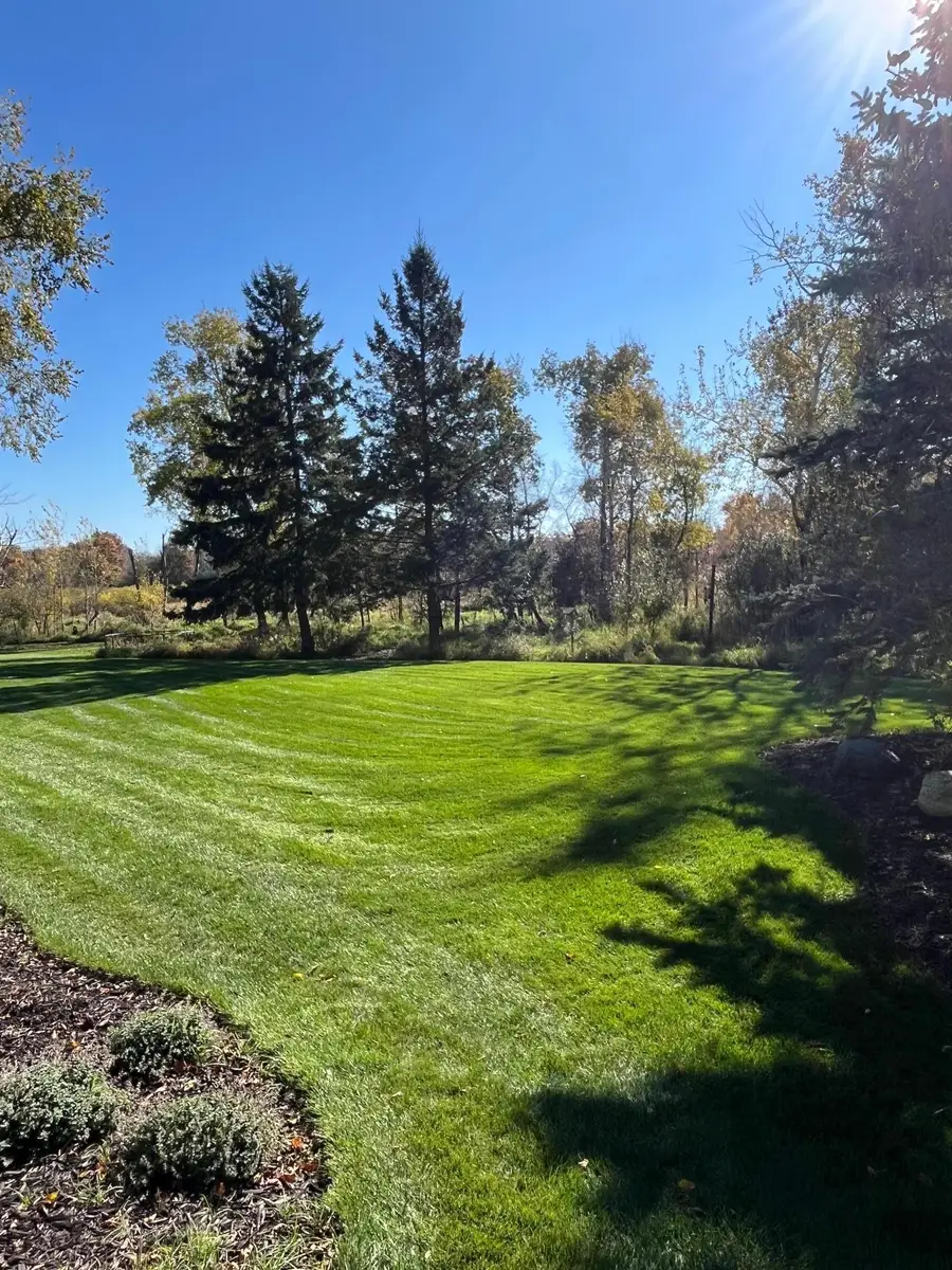 2296 130th Court Ne, Blaine, MN 55449 - Image #3