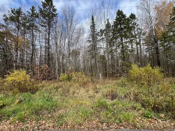 XXX Deer Lake Road, Meteor Twp, WI 54835