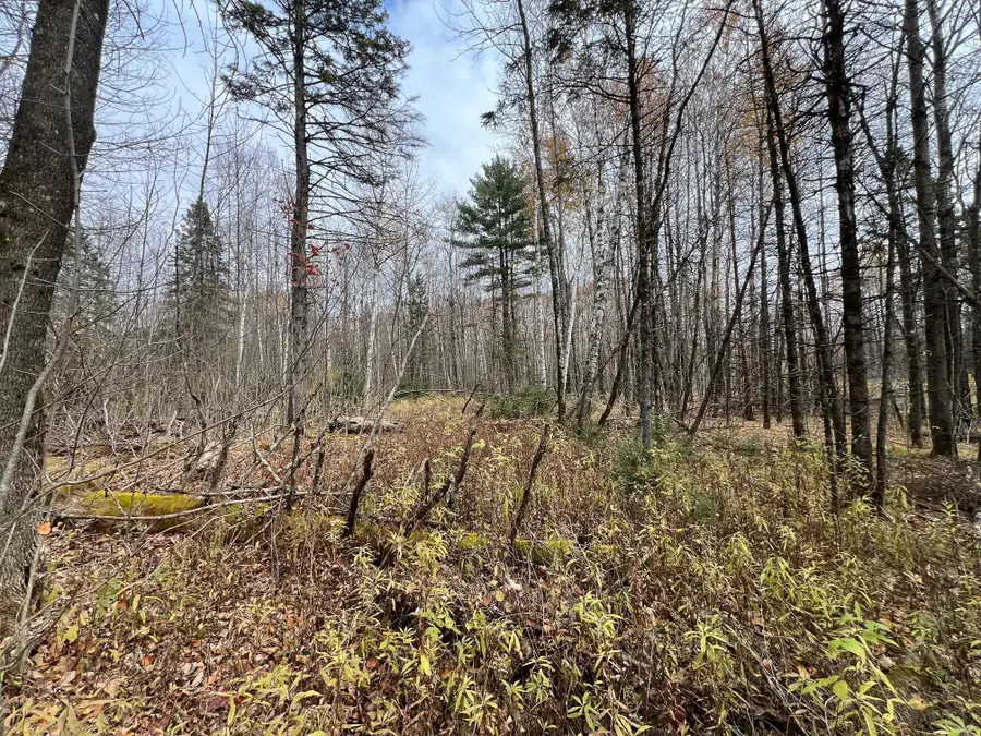 XXX Deer Lake Road, Meteor, WI 54835 - Image #2