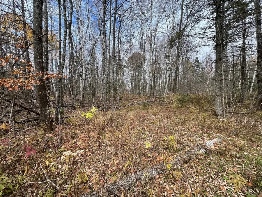 XXX Deer Lake Road, Meteor, WI 54835 - Image #3