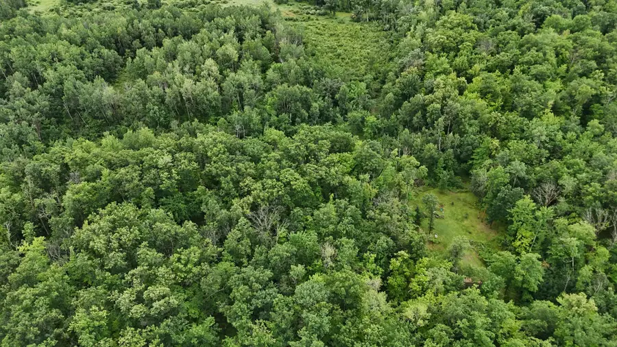 1853 295th Avenue, Hillman, MN 55051 - Image #3