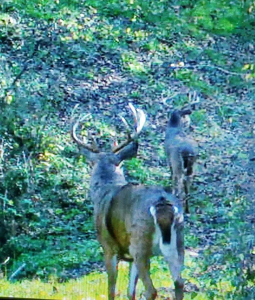 0 County 6, La Crescent Township, MN 55947 - Image #3