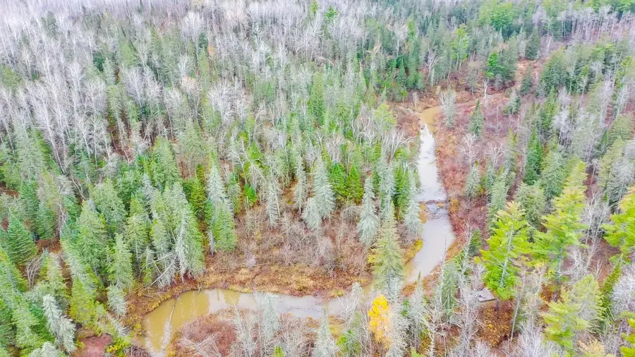 992 Nemadji River Road, Holyoke, MN 55749 - Image #3