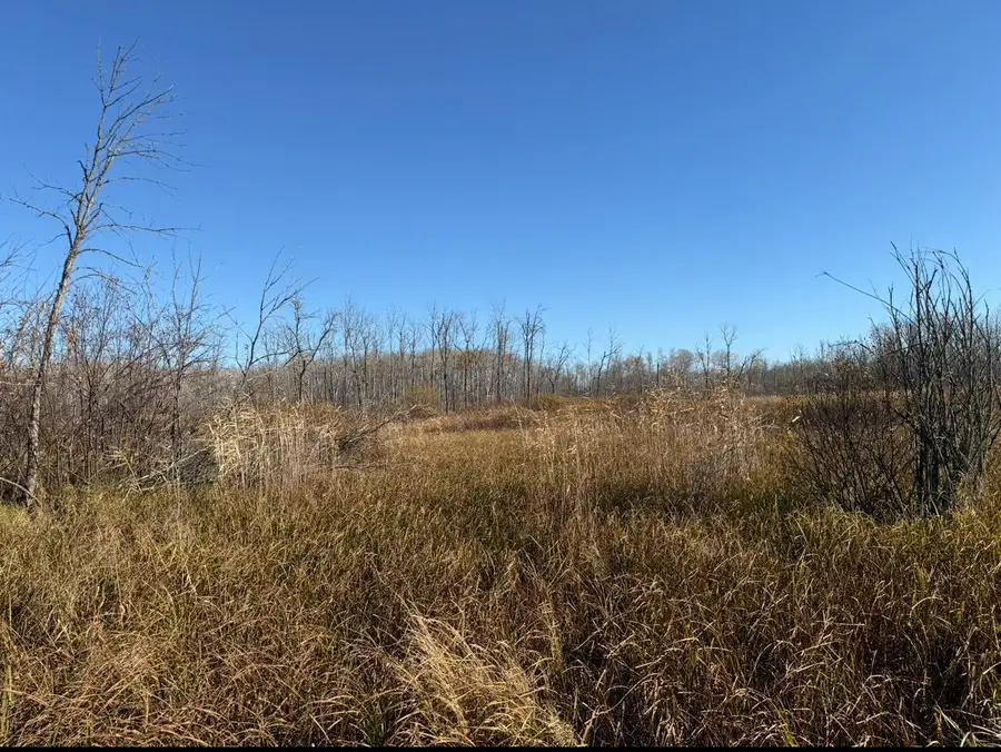 XXX Dam Lake Street, Aitkin, MN 56431 - Image #2