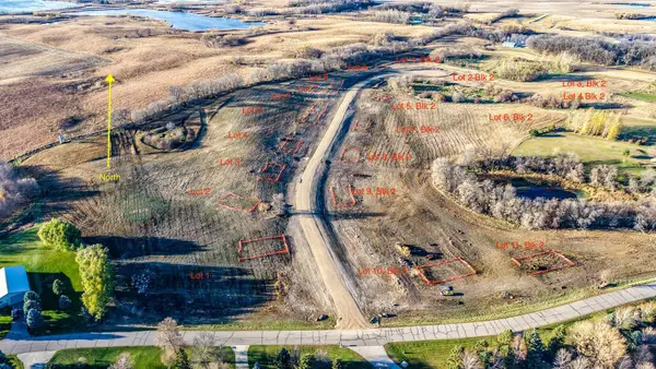 Lot 9, Block 2 Alivia's Avenue, Pelican Rapids, MN 56572