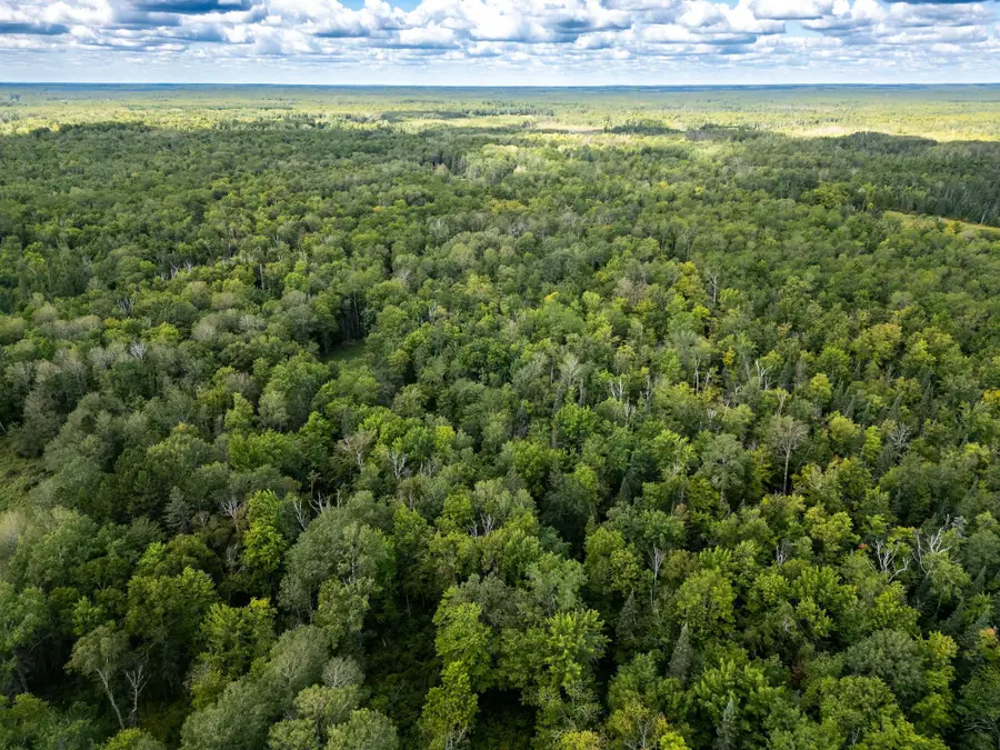 48029 110th Place, Tamarack, MN 55787 - Image #2