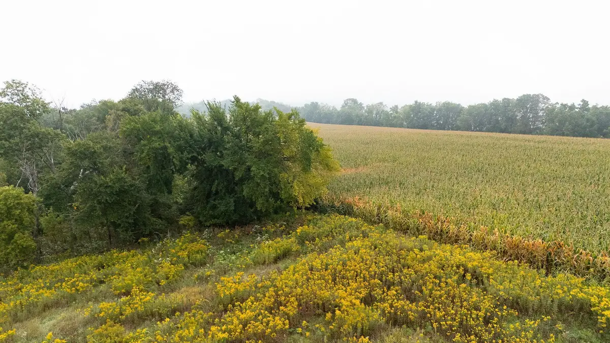 TBD (Lot  2) Goat Back Road, Pepin, WI 54759 - Image #1