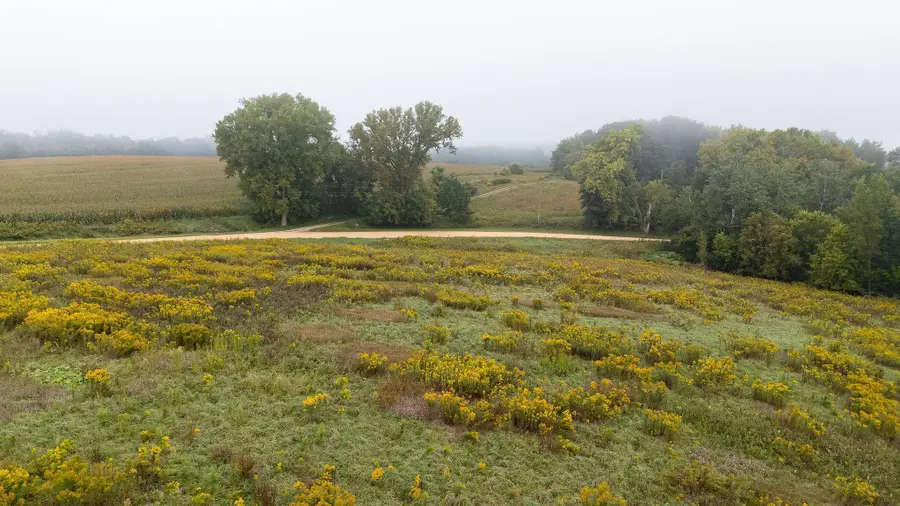 TBD (Lot  2) Goat Back Road, Pepin, WI 54759 - Image #2