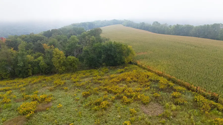 TBD (Lot  2) Goat Back Road, Pepin, WI 54759 - Image #3