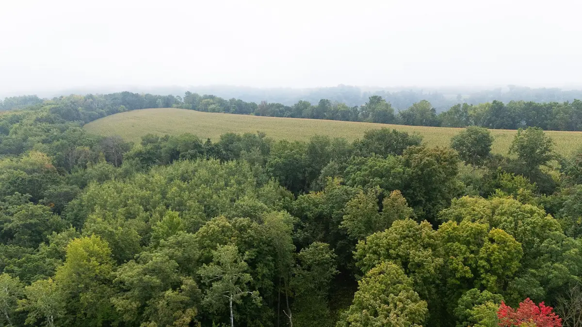 TBD (Lot 3) Goat Back Road, Pepin, WI 54759 - Image #1