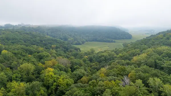 TBD (Lot 4) Goat Back Road, Pepin, WI 54759