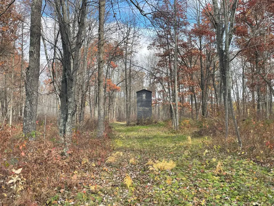 17005 County Road 11, Mission Township, MN 56441 - Image #2