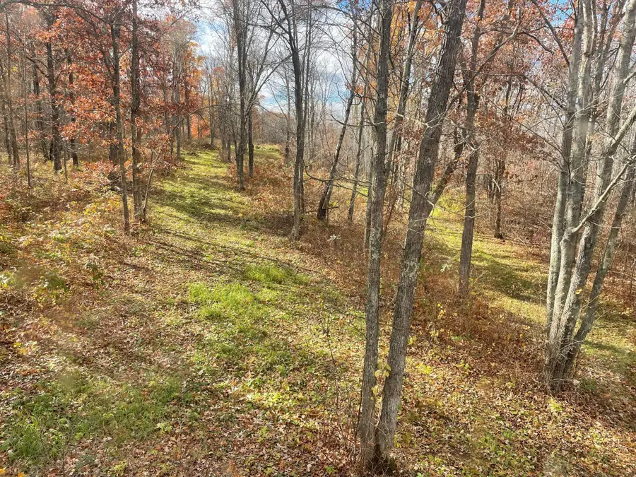 17005 County Road 11, Mission Township, MN 56441 - Image #3