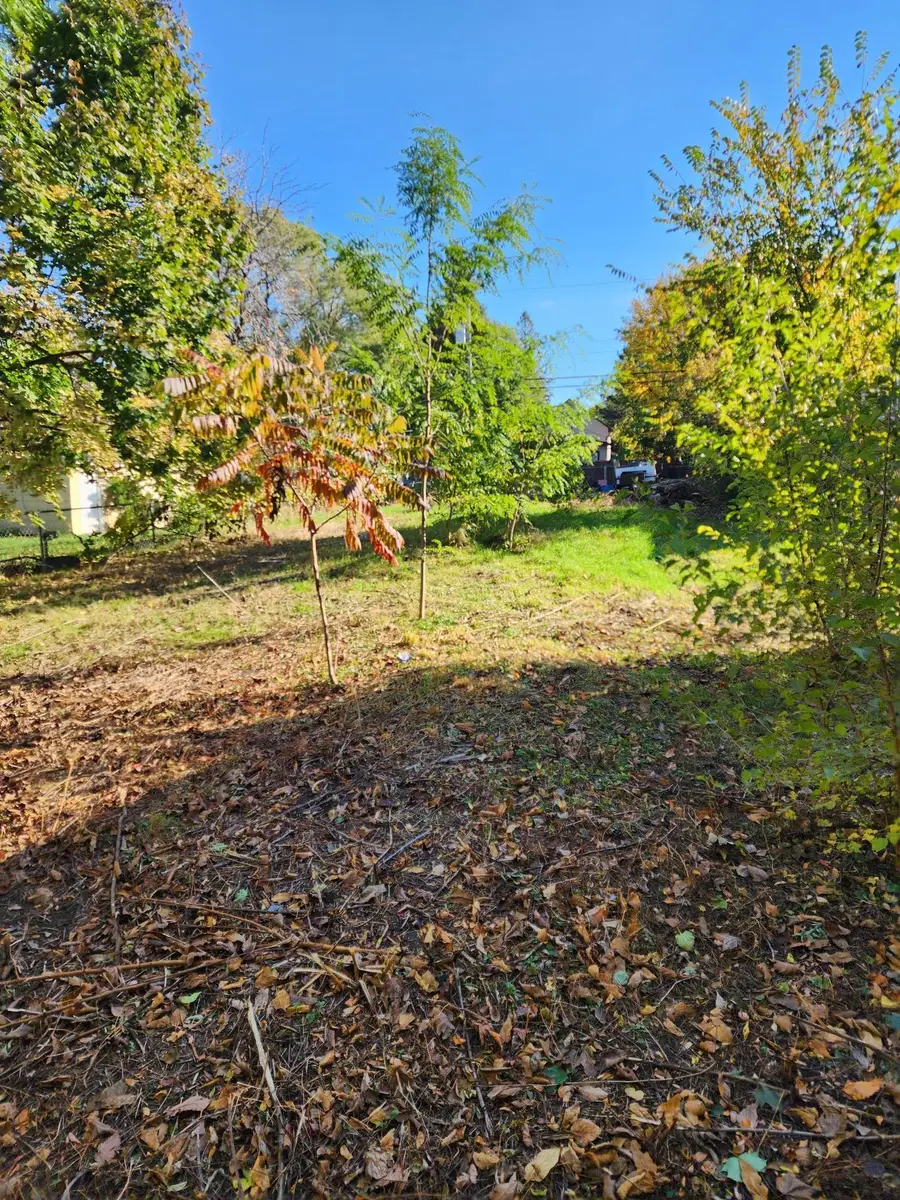 3718 Lyndale Avenue N, Minneapolis, MN 55412 - Image #2