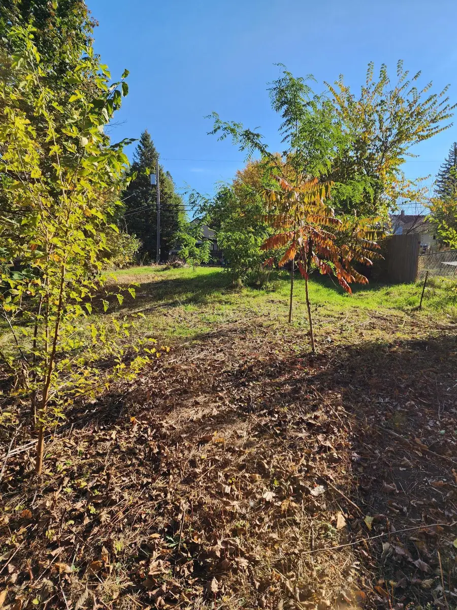 3718 Lyndale Avenue N, Minneapolis, MN 55412 - Image #3