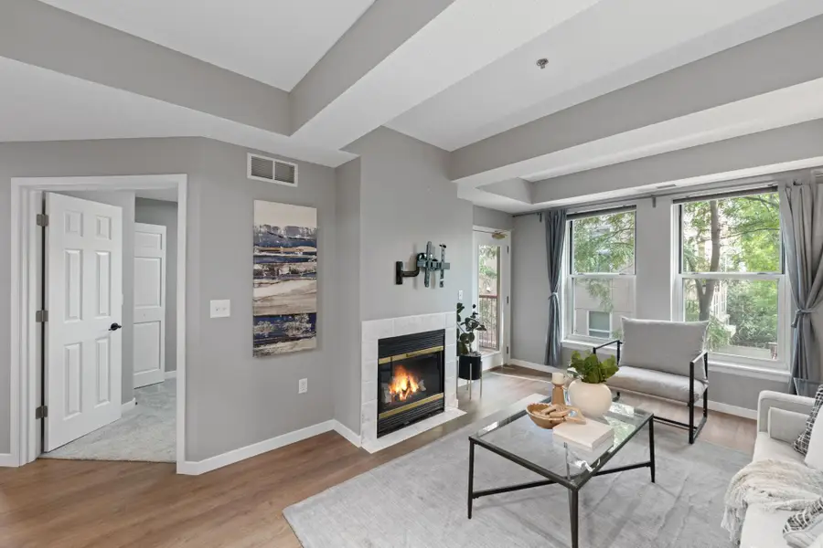 645 N 1st Street #305, Minneapolis, MN 55401 - #2