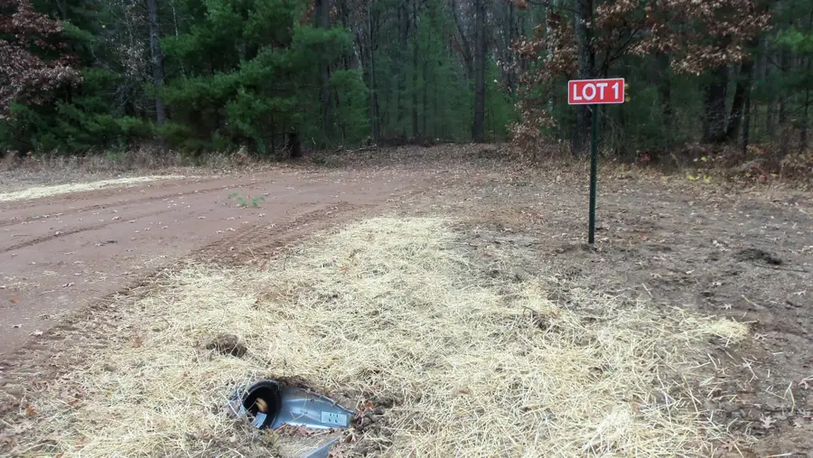 LOT 1 Herman Johnson Rd, Siren Town, WI 54872 - Image #2