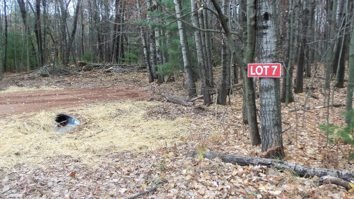 Lot 7 Herman Johnson Rd, Siren Town, WI 54872 - Image #1