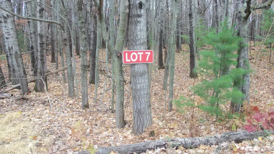 Lot 7 Herman Johnson Rd, Siren Town, WI 54872 - Image #2