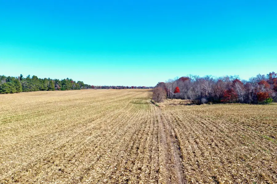 NA Flamingo Street, Bradford Township, MN 55040 - Image #2